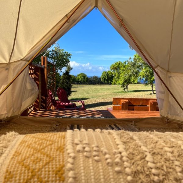 view out door of bell tent